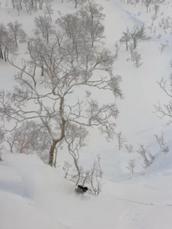 K2 Antidote 2024 Snowboard -Peak Riders Antidote2024Snowboard 2