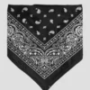 Paisley Snow Bandana