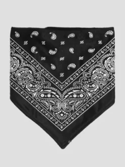 Paisley Snow Bandana